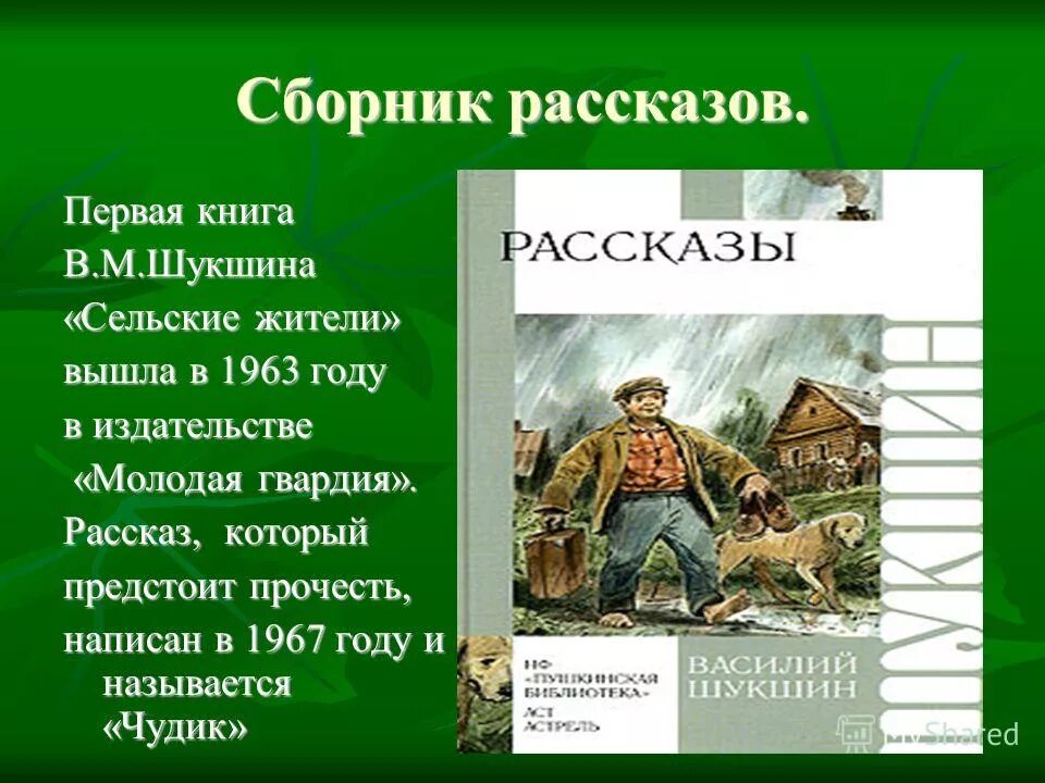 Авторская позиция в произведении чудик