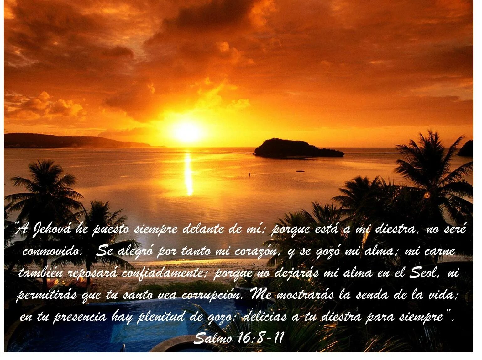 Нежные открытки любимому мужчине. Открытки любимому мужчине. Открытки с красивыми словами мужчине. Открытки с красивыми словами мужчине. Стихи любимой девушке.