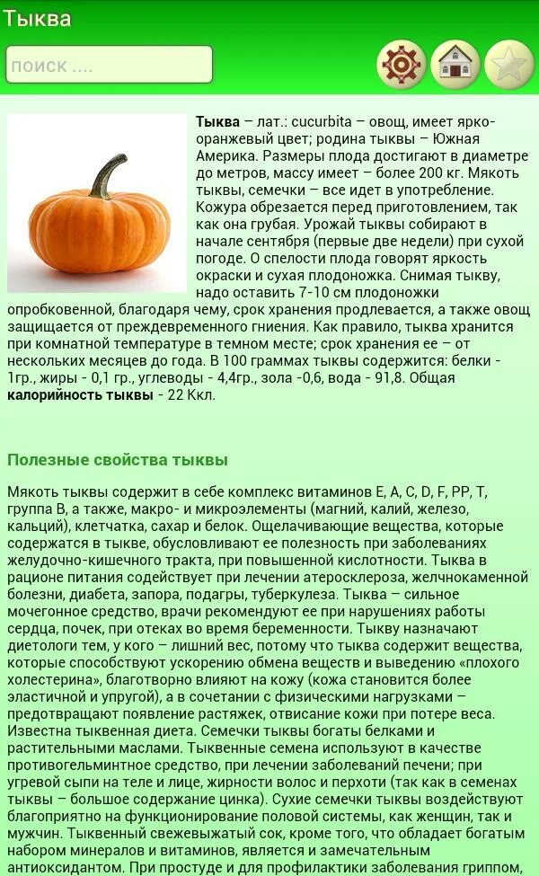 Можно ли есть зеленую мякоть тыквы
