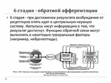 Описание обратная