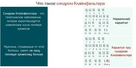 Кариотип 47 хху