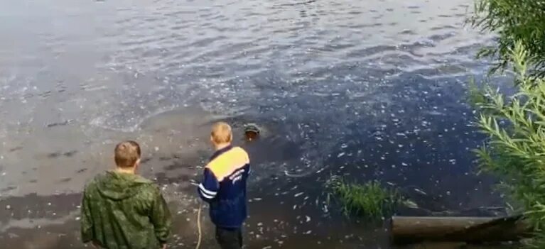 Утону я в западной двине. Утонул мужчина в воднике. Ленинградка утонула Вологда. Дети тонут в реках Охты.