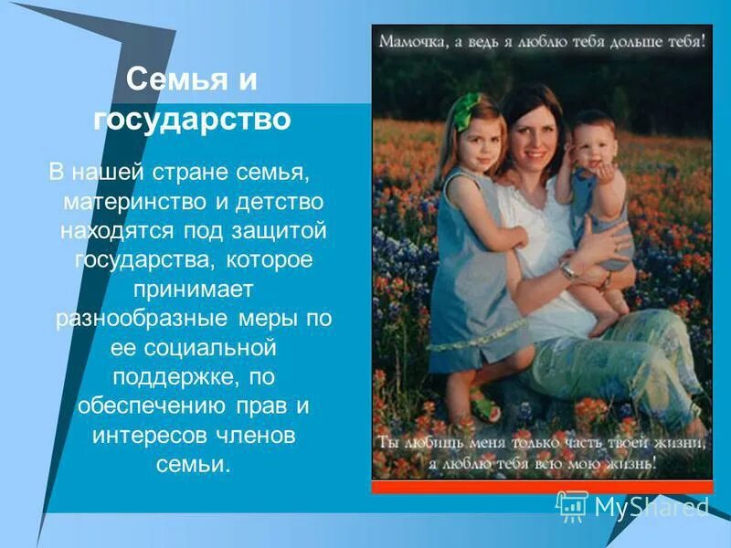 Телешоу, похожие на "Большие семейные игры" (2015) - "Кино Mail"