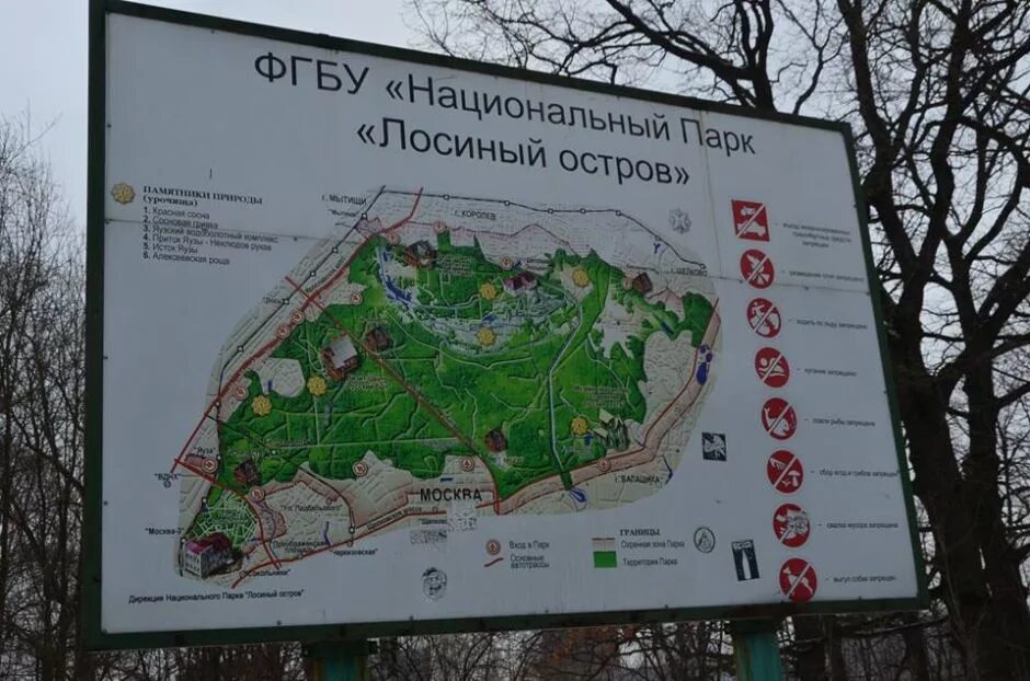 Лосиный остров национальный парк королев. Элк-айленд (лосиный остров). Бизнес кар лосиный остров. Лосиный остров национальный парк москва. Тойота центр серебряный бор.