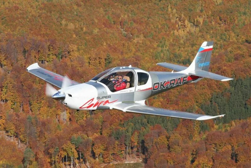 Статуэтка кобра бронза. Evektor cobra. Красотулечка самолет кобра\. Evektor vut100 cobra price. Evektor vut100 cobra price.