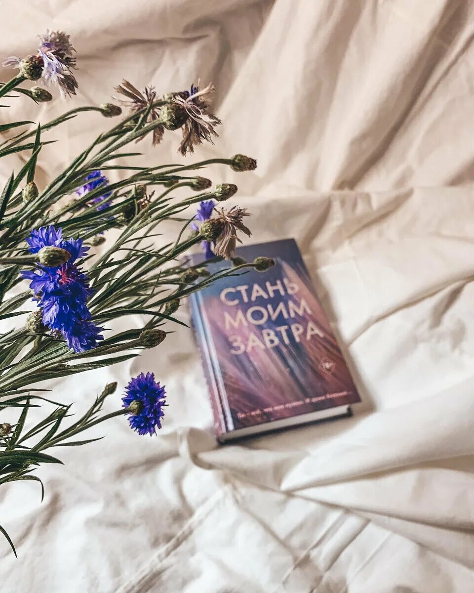 Стань моим завтра читать. Стань моим завтра читать. Эмма скот средитвсячи слов. Стань моим завтра читать. Эмма скотт «стань моим завтра» 436 страница.