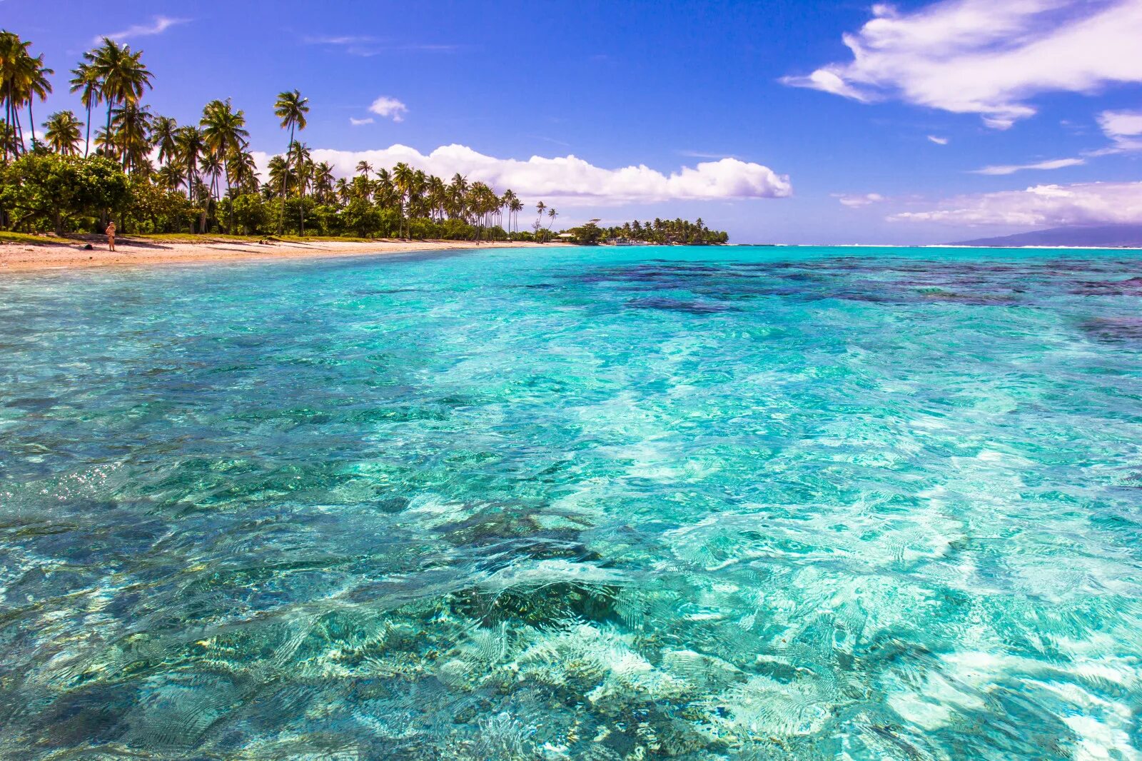 Карибское море голубая Лагуна. Голубая Лагуна Багамы. Океанская Лагуна. Лазурная Лагуна.