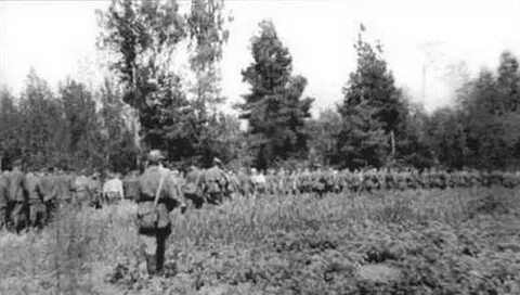 Ельнинская операция дата