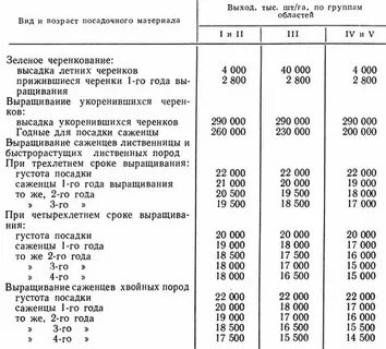 Сколько саженцев на 1 га