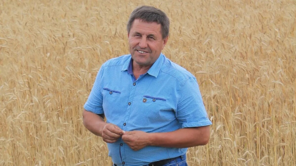 Колхоз имени мясникяна ростовская область. Ооо спк вектор омск. Ростовский спк. Рыбасово сальский район. Хутор алексеев заветинский район.