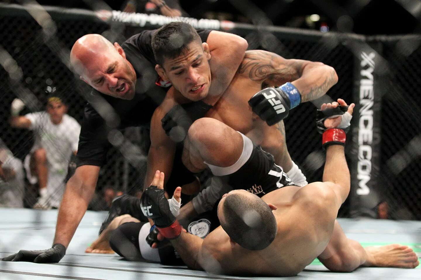 Мма (mixed martial arts) что это. Смешанные единоборства ufc. Мартос санчес мма. Андерсон сильва мма. Единоборства мма.