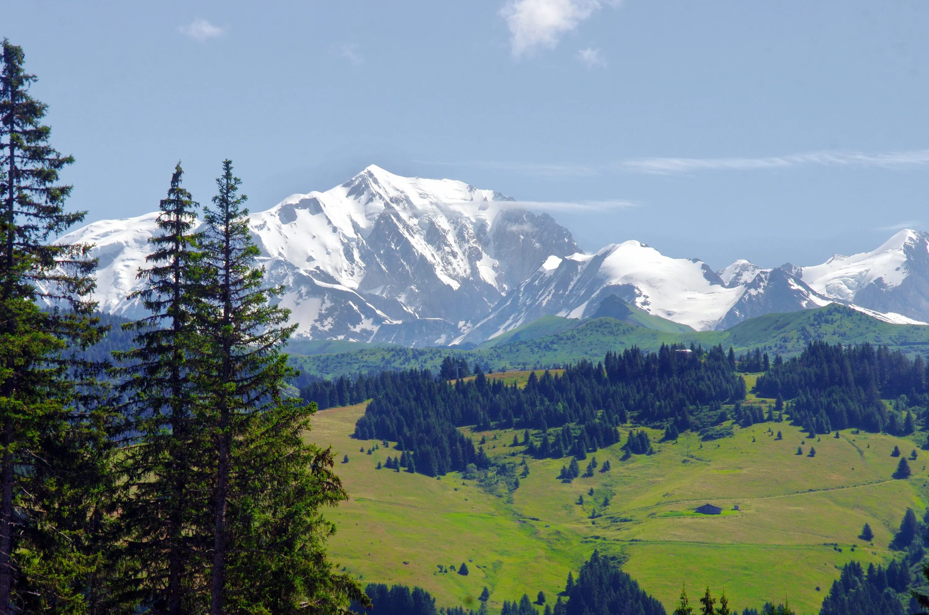 Евразия фотографии. Альпы Монблан. Гора Монблан и Альпийские Луга. Франция горы Альпы. Гора в Швейцарии Монблан.
