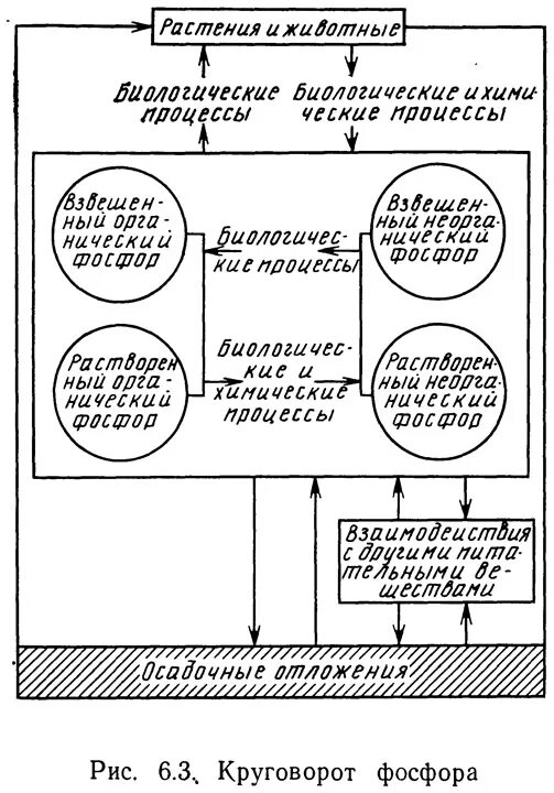 клапанные мешки с перфорацией. рис 6. нахождение точки приложения равнодействующей. рис 6. метод квартования при отборе проб почвы.