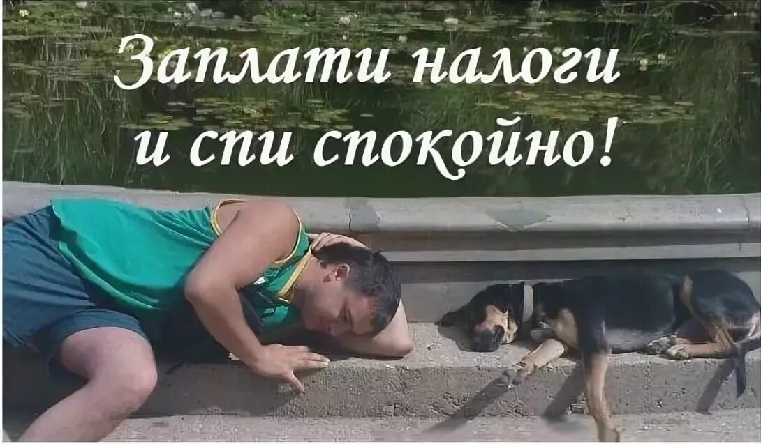 Картинки заплати налоги и спи. Плати налоги будь послушным. плати налоги будь послушным картинка. руслан плати налоги. картинка с надписью плати налоги будь послушным.