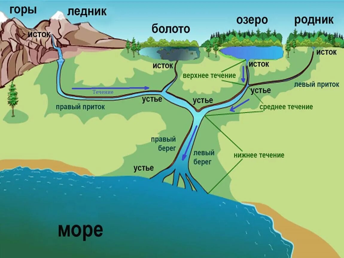 Движение воды в озерах. Что такое Устье реки и Исток и русло и приток. Схема реки Исток приток Устье. Устье реки Дельта Исток русло 1 класс. Река Исток русло схема.