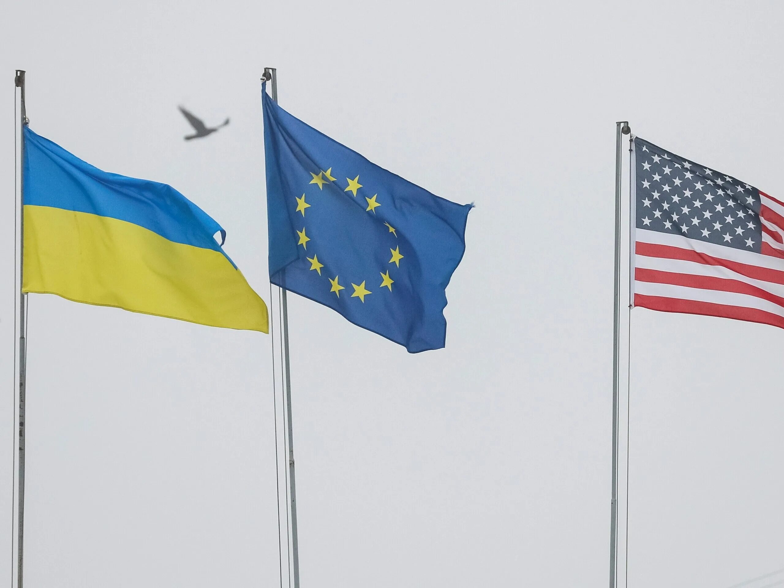 Украина ЕС. Флаг Украины , ЕС, НАТО, США. США Евросоюз Украина и РФ. Украина НАТО ЕС. Сша и британия предупредили