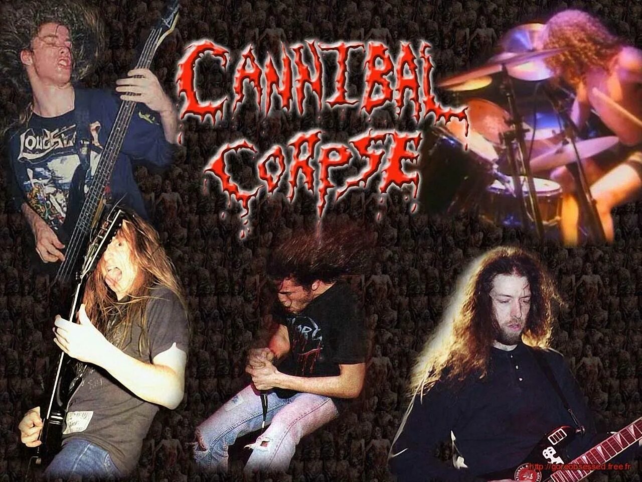 Cannibal corpse песни. Рок группа каннибал Корпс. Группа Cannibal Corpse обложки.