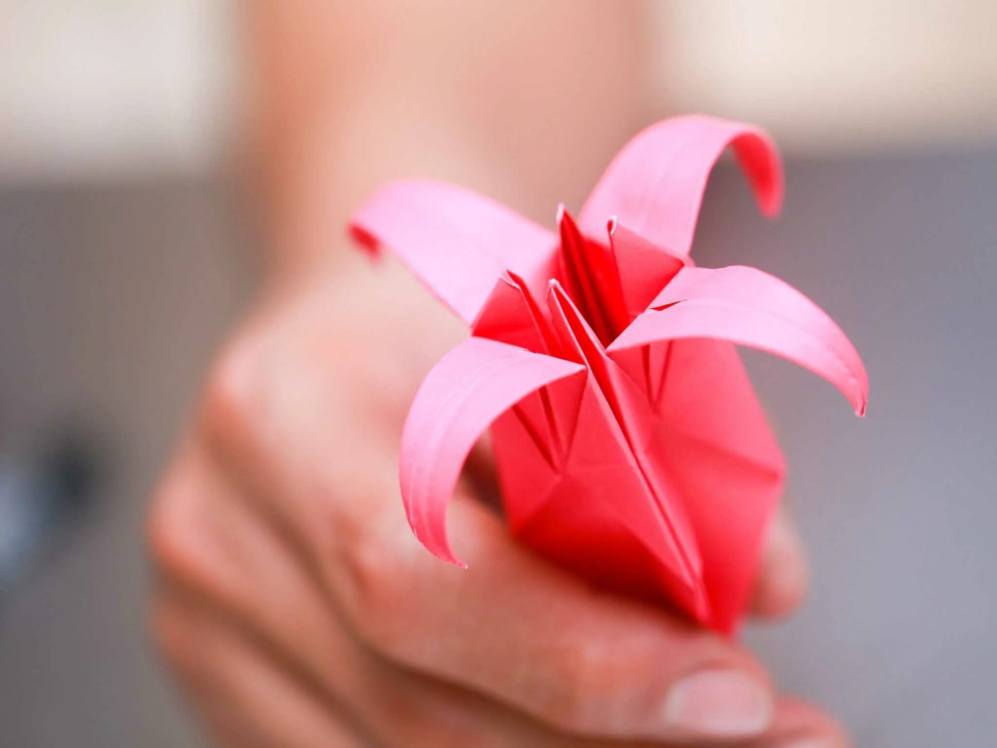 Поделки из бумаги фото. Оригами Лилия. Четырехлепестковая Лилия оригами. Санбук Смит цветы оригами. Цветы из оригами.