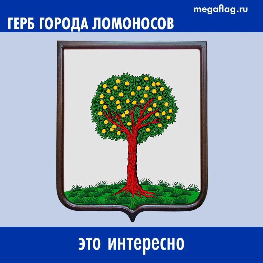 Герб ломоносова. Герб с деревом. Герб ломоносов ораниенбаум. Символ города ломоносов. Герб г.