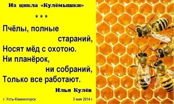 Твоими да мед пить. Афоризмы про пчел. Анекдоты про пчел. Высказывания о пчелах. Афоризмы про Пчеловодство.