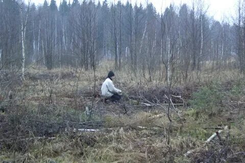 Расписание автобуса ассаурово морозки 43 на сегодня
