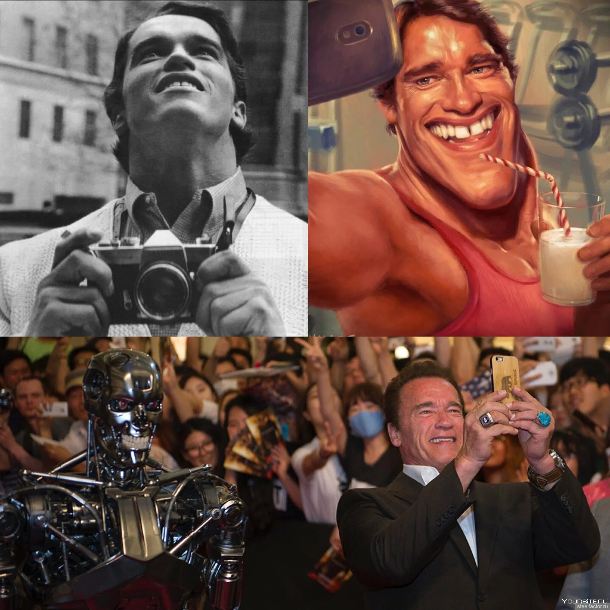 айрис кайл и арнольд шварценеггер. приколы с арнольдом шварценеггером. приколы про арнольда шварценеггера. прикол пол терминатора. дамы и господа мем шварценеггер оригинал.