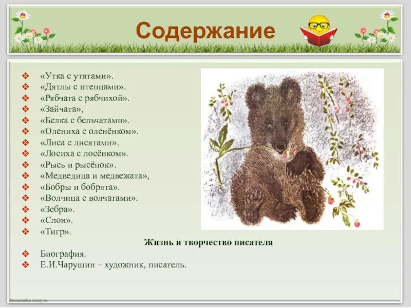 Чарушин рассказы содержание. Е чарушин большие и маленькие. е.и чарушин кабан план. чарушин рассказы про больших и маленьких. чарушин рассказы большие и маленькие.