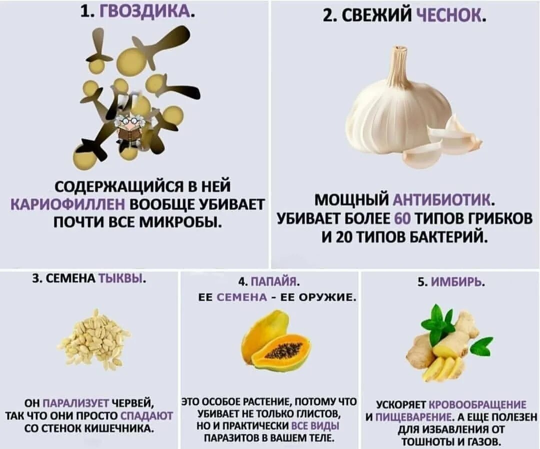 Как правильно есть чеснок. Чеснок убивает бактерии. чеснок от вирусов. чеснок полезные вещества. чеснок для детского организма.