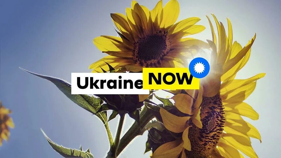 Украинские бренды. Украинские бренды. Ukrainian now. Украинские бренды. Кнп логотип.