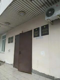 Приставы заря 24