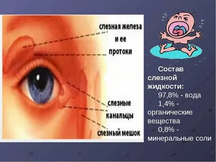Если слезная жидкость не будет выделяться то