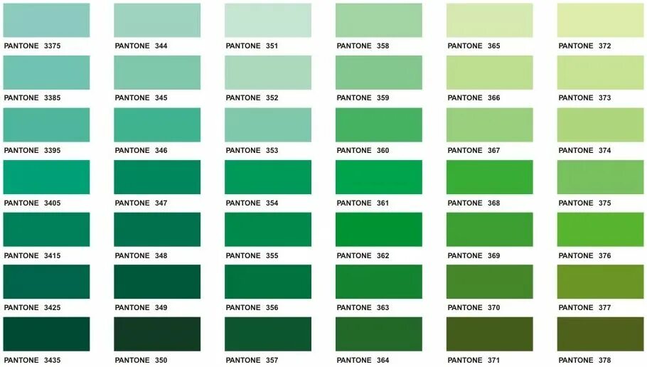 Зеленый номера цветов. Палитра зеленых оттенков пантон. Pantone палитра цветов зеленый. Изумрудный цвет палитра Pantone. Pantone зеленые оттенки.