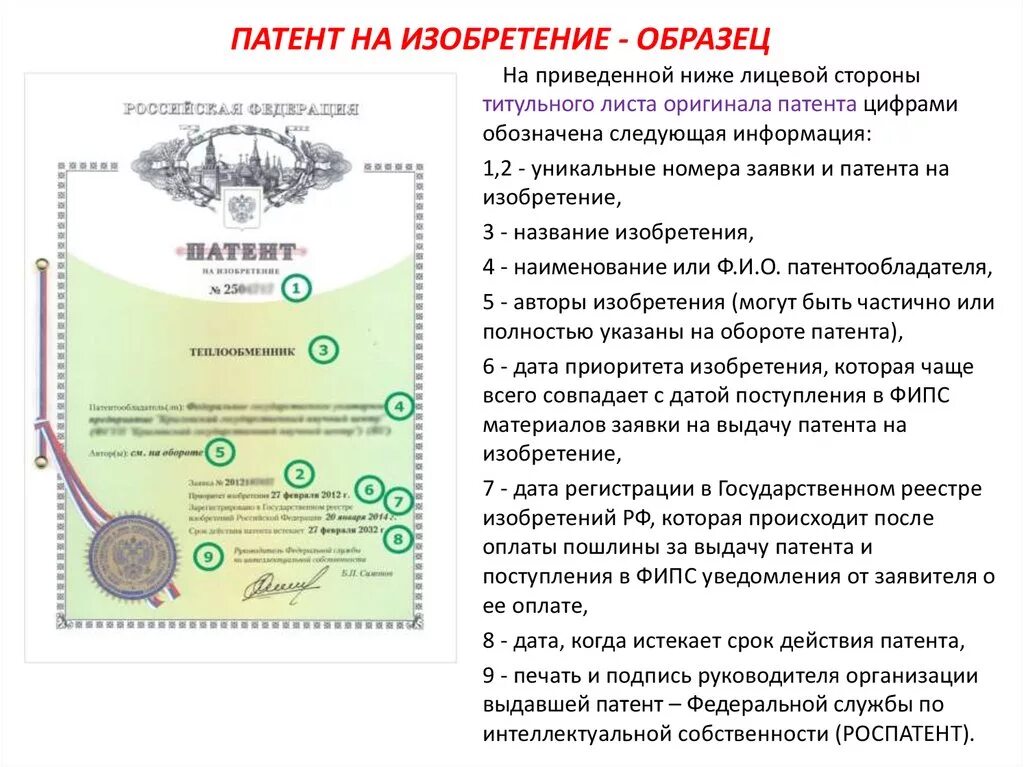 Сколько делать патент