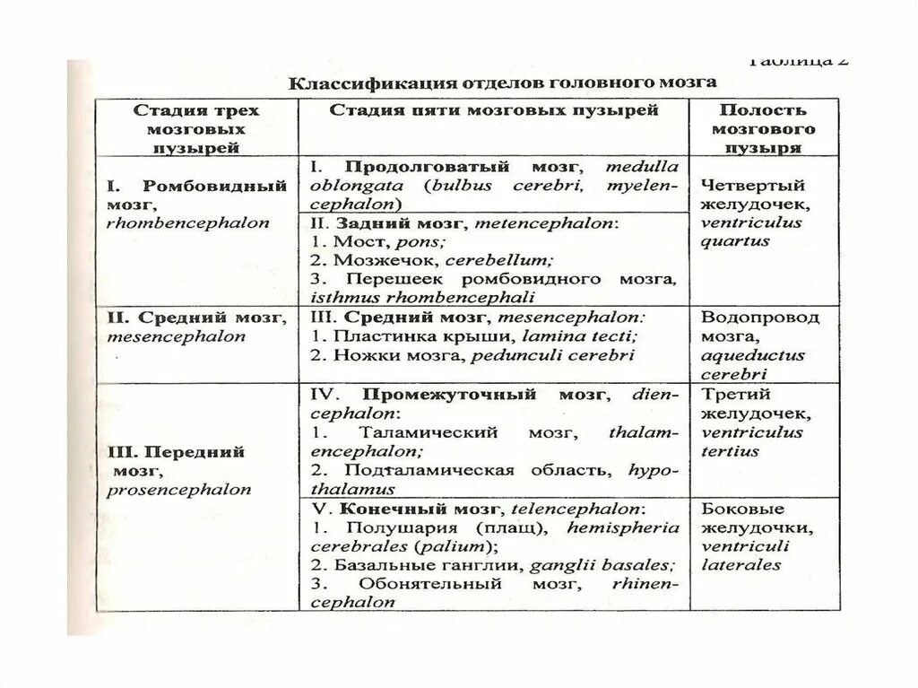 Центры головного мозга таблица. Анатомическая классификация отделов головного мозга. Функции отделов головного мозга таблица. Основные структуры головного мозга таблица. Структурно-функциональным обзорам отделов головного мозга.