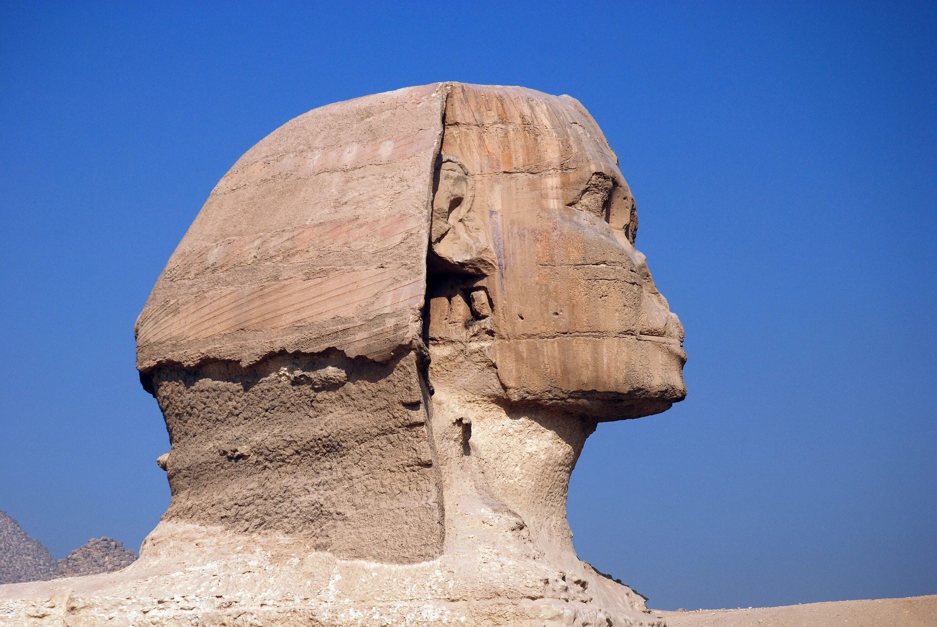 Сфинкс древнего Египта. Сфинкс скульптура древнего Египта. Сфинкс в профиль Египет. Исскустводревнего Египта сфинкс. Царь разгадавший