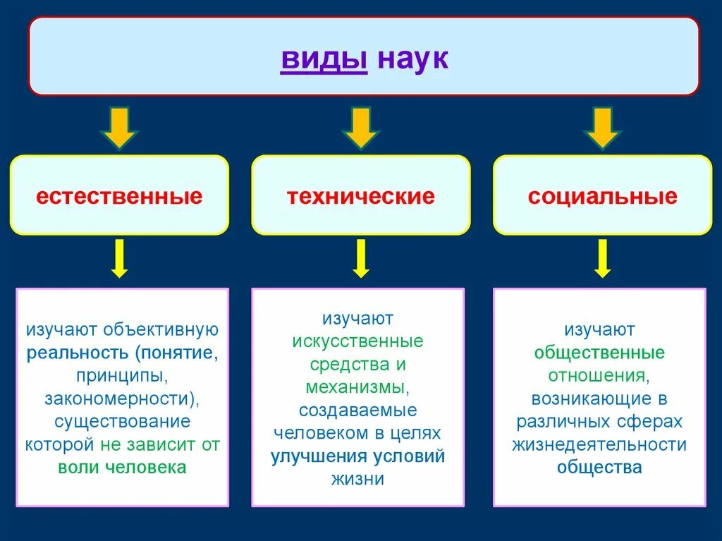 Какие области науки бывают. Виды наук. Виды наук Естественные технические. Типы науки Обществознание. Виды наук с примерами.