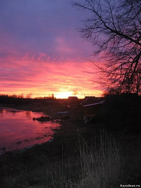 малиновая река. малиновый звон над рекой. малиновые зори. алый закат. малиновая роща.