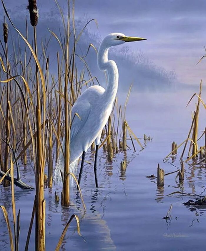 изобразить цаплю. картина цапля на болоте. живопись цапли на болоте. изобразить цаплю. аист мультяшный.