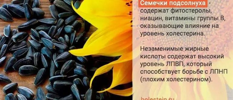 Семечки подсолнуха. Полезны ли семечки подсолнуха. Семена подсолнечника польза. Чем полезны семена подсолнуха.