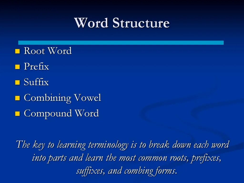 What is word structure. Word structure. external structure of the word. the structure of the word ppt. structural words.
