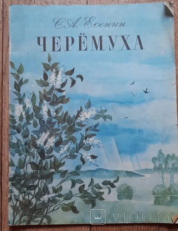 Иллюстрация к стихотворению черемуха Есенина. Книжка Есенина "черёмуха". Черемуха иллюстрация Есенин Александрович. Произведение есенина сказка