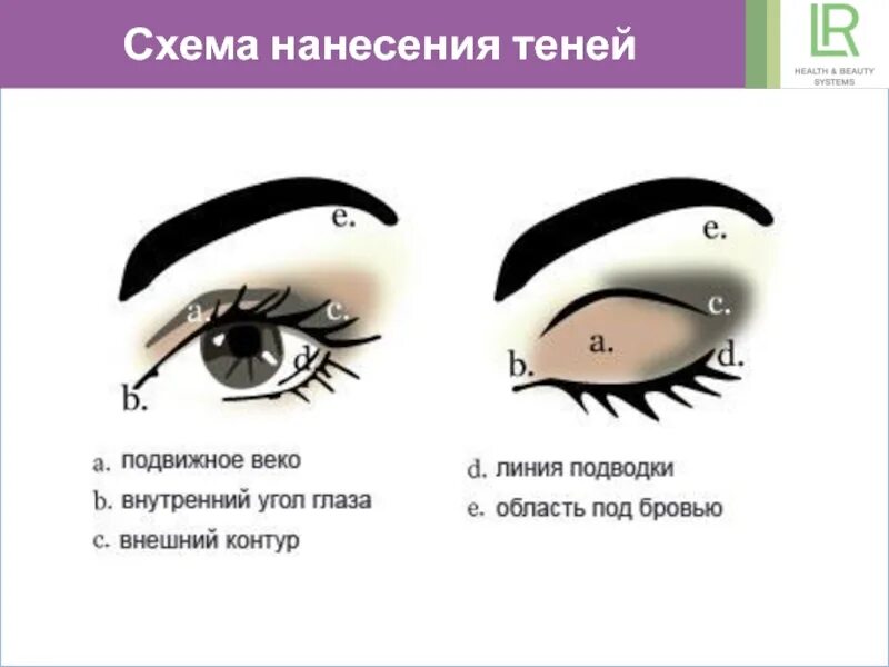 Eye corner. Класическая Хема нанесения теней. Схема нанесения теней классика. Макияж глаз схема нанесения теней. Схема растушевки теней.