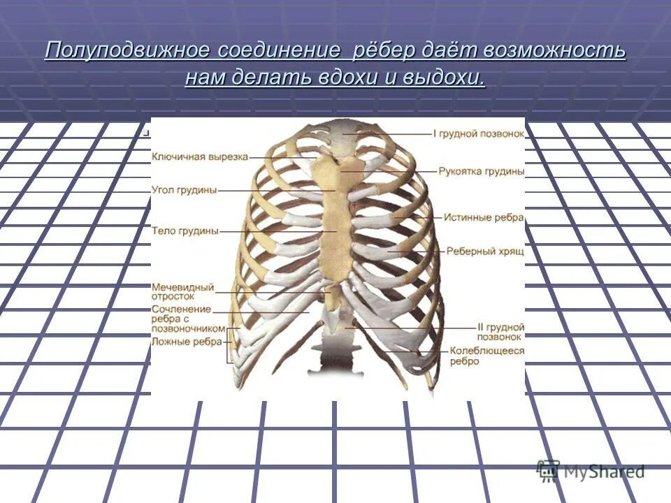 Полуподвижное соединение между