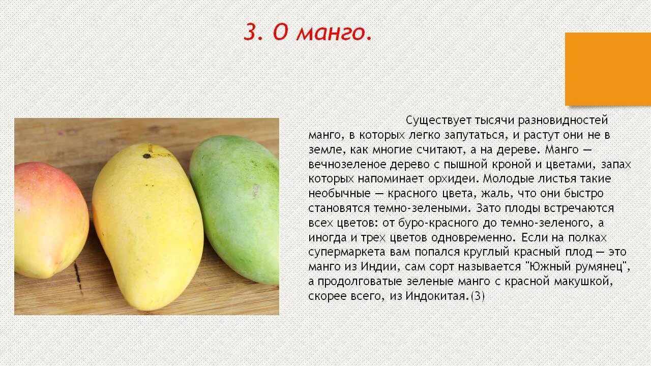 Манго доклад 2 класс. Сообщение о манго. Исследовательская работа манго. Манго описание фрукта.