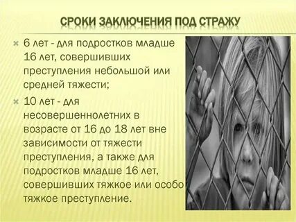 Средние срока заключения