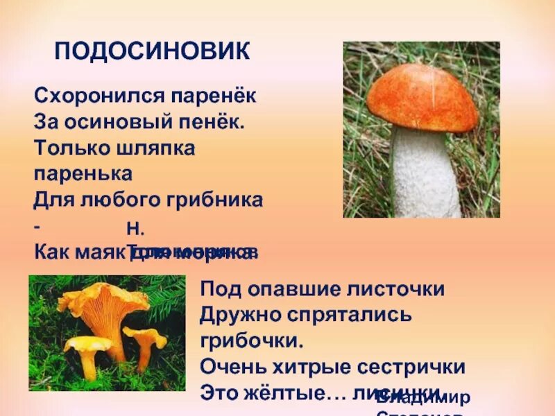 Гриб однокоренные. Загадки про грибы для 2 класса. Загадки про грибы для детей 4-5 лет. Гриб однокоренные слова. Гриб однокоренные.