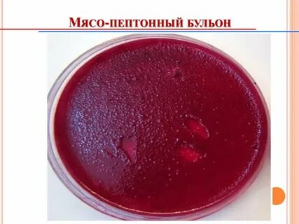 Мясо пептонный бульон