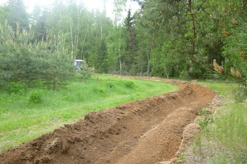 Тиликтинские дачи коттеджный. Фото участка примыкающая к лесу. Участок примыкает к лесу. Деревня дьяково в истринском районе московской области. Сухая трава в лесу.