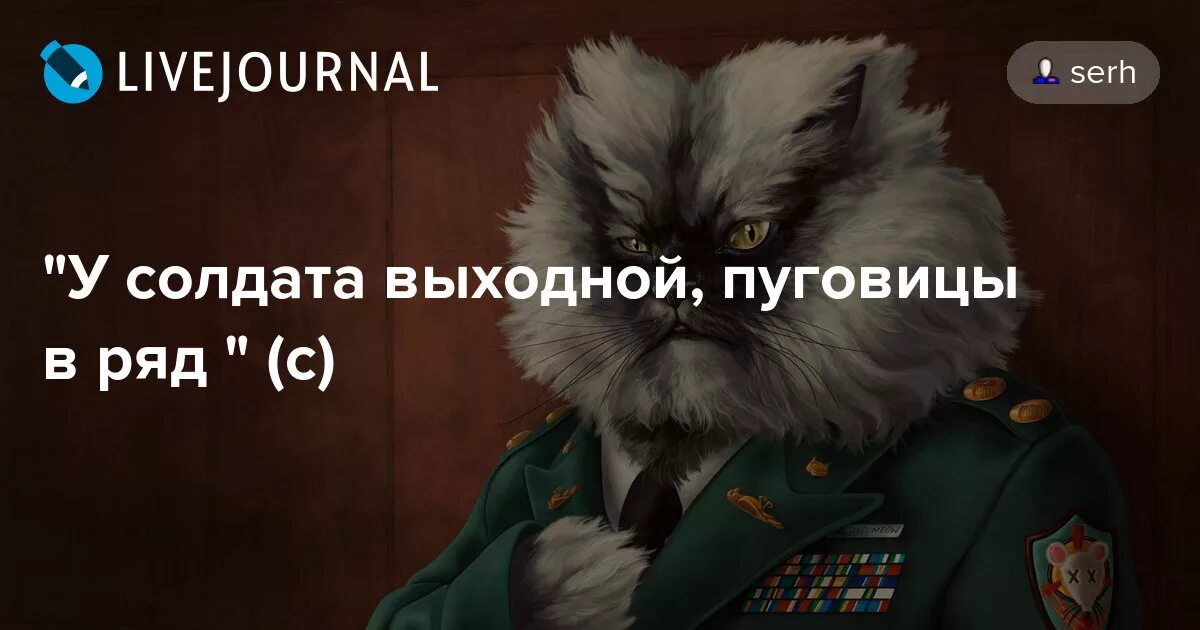 У солдата выходной. У солдата выходной пуговицы в ряд. Текст песни у солдата выходной пуговицы в ряд. Песня у солдата выходной пуговицы в ряд. Выходные минусовка