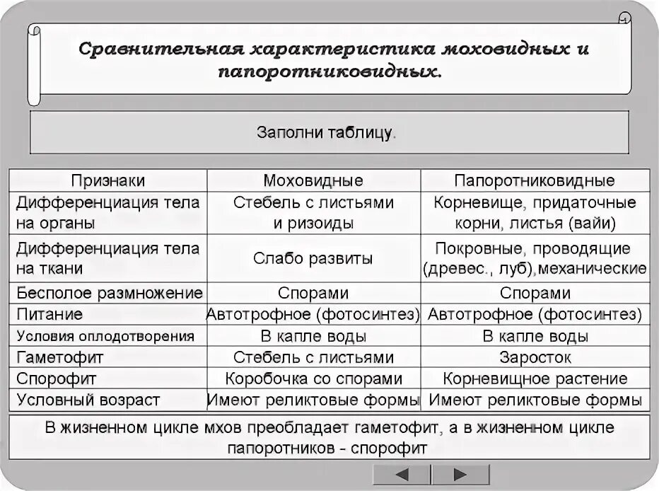 Лабораторная работа по биологии строение спороносящего папоротника Shtampik.com